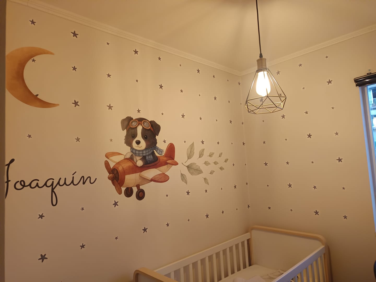 Customer photo review of Perrito aviador (Border Collie)