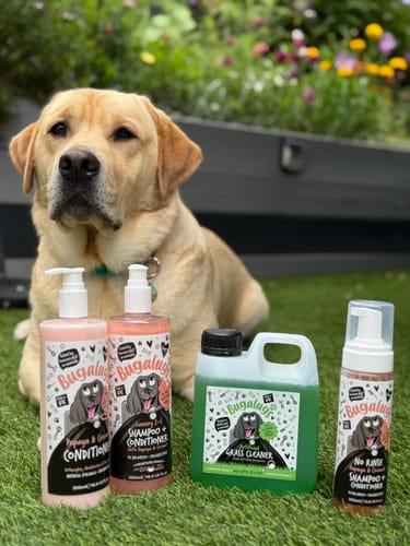 Customer photo review of Luxury Papaya & Coconut Dog Shampoo & Conditioner Duo