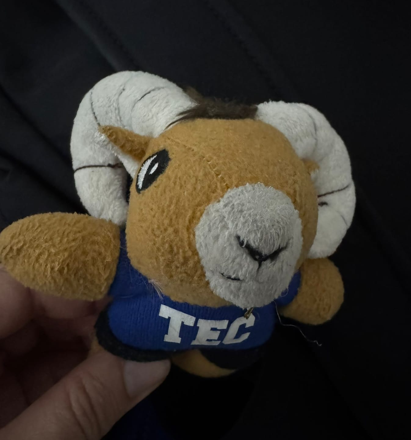 Customer photo review of Teus Peluche Mini Llavero