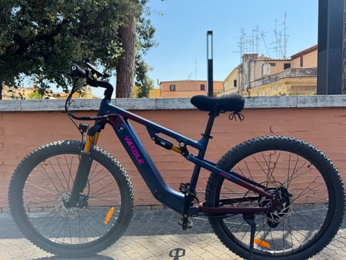 Customer photo review of Vakole EMT29 250W 29" E-Mountain Bike 720Wh Cross-Country Full Suspension EMTB with Torque Sensor 48V 15Ah Battery