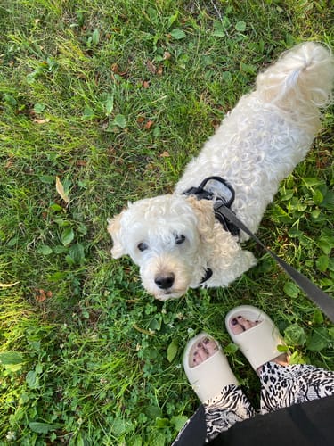 Customer photo review of HappyFlops