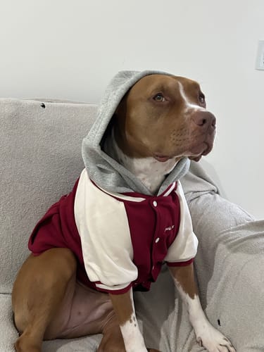 Customer photo review of Dog Varsity Jacket - Red
