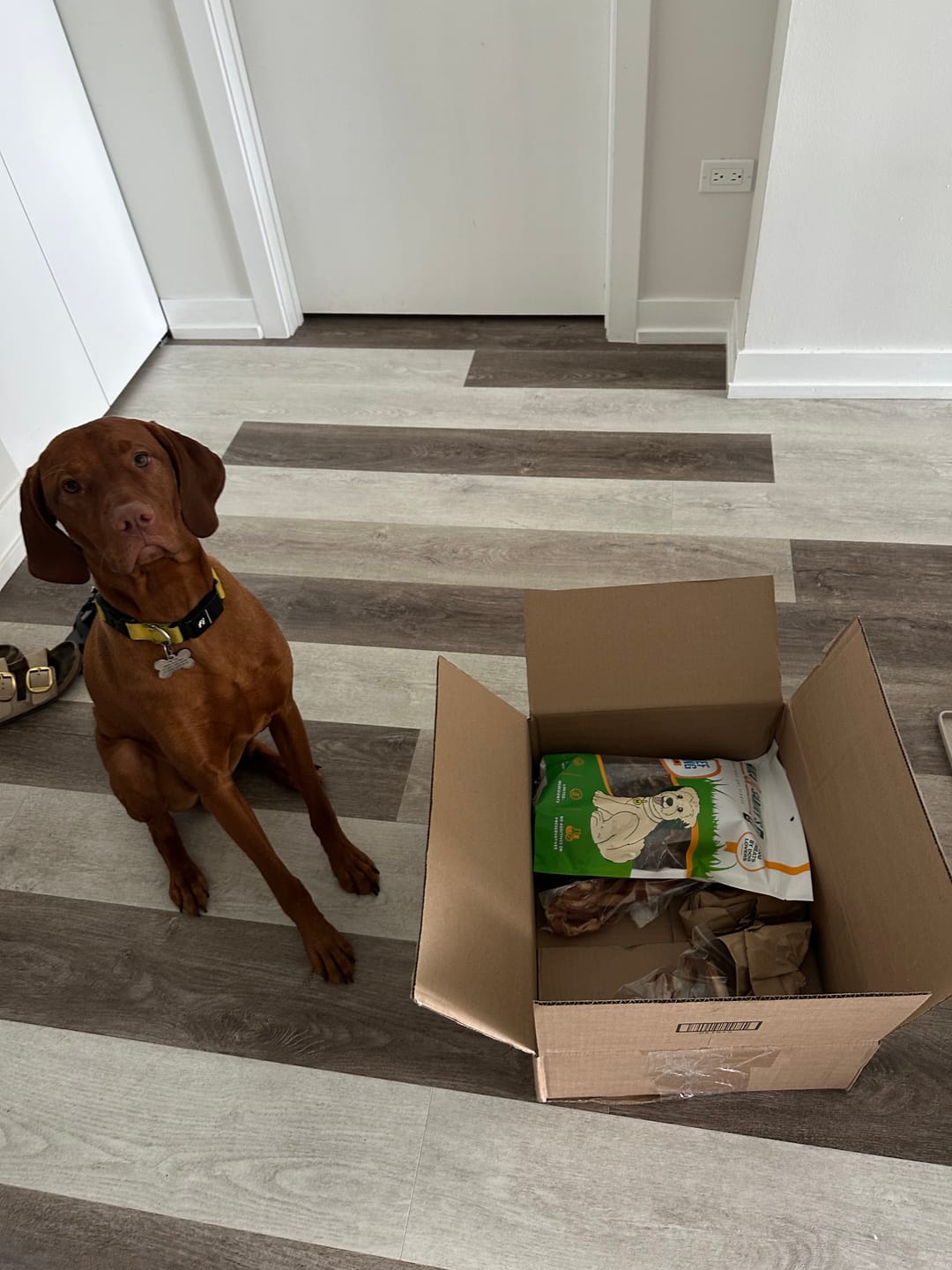 Customer photo review of Beef Lung Chunks 1lb
