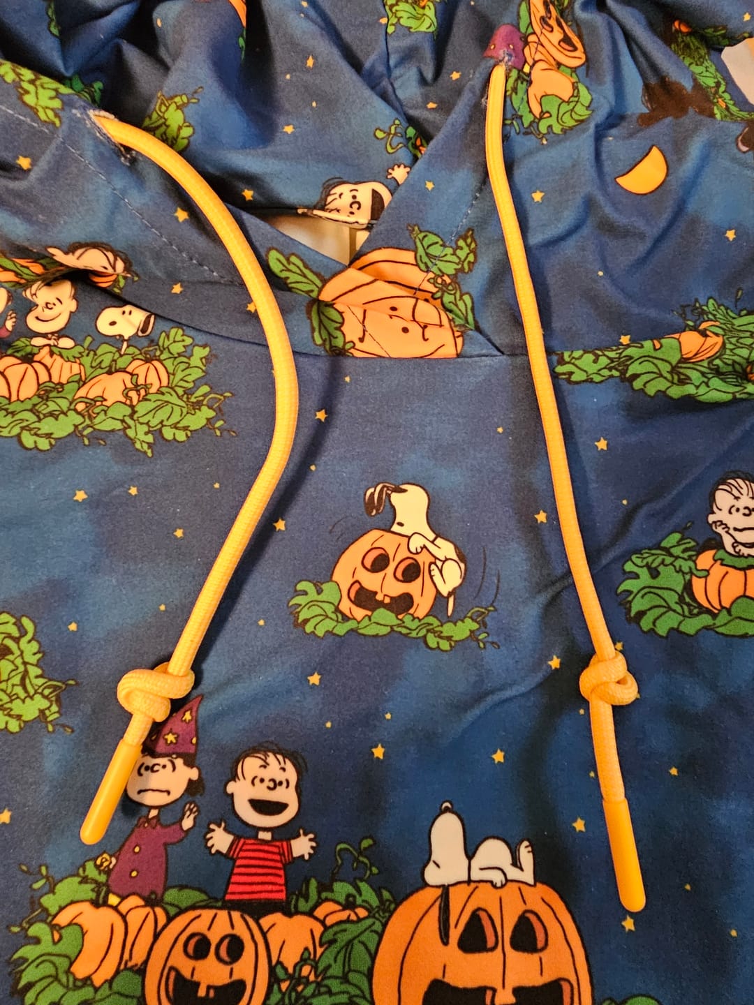 Customer photo review of Peanuts "It's the Great Pumpkin!" – Performance Hoodie