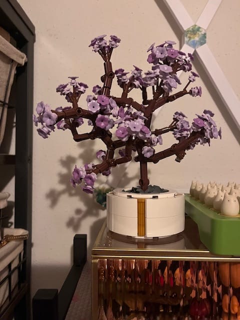 Customer photo review of Builder's Bonsai (Lavender Bloom)