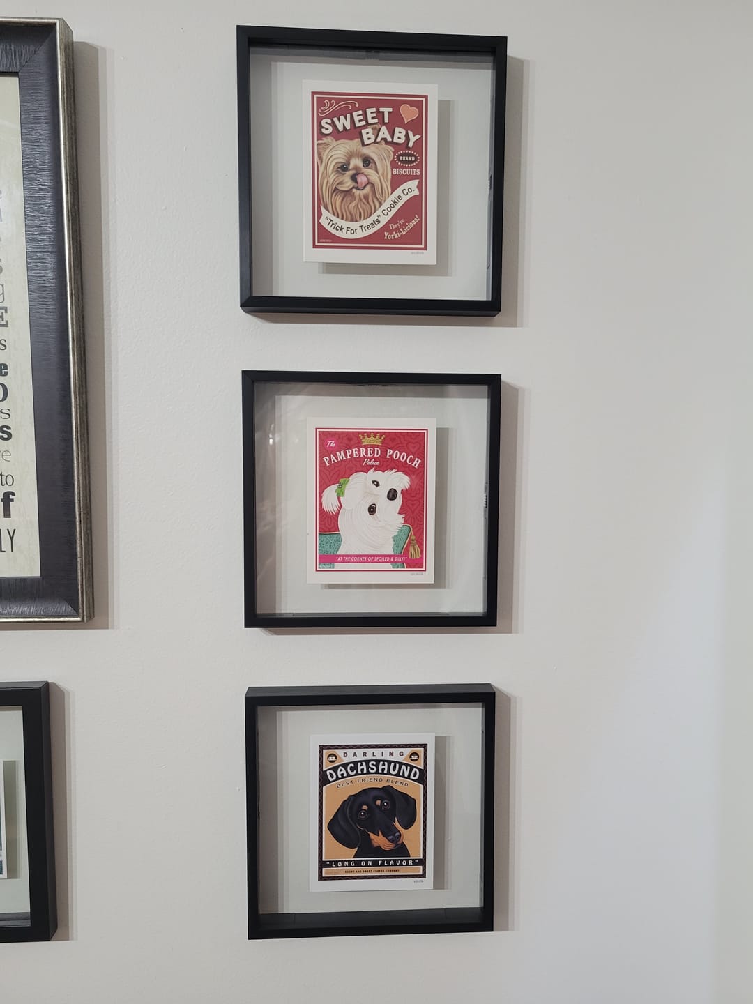 Customer photo review of Dachshund Art "Darling Dachshund Coffee" 6 Small Greeting Cards by Krista Brooks