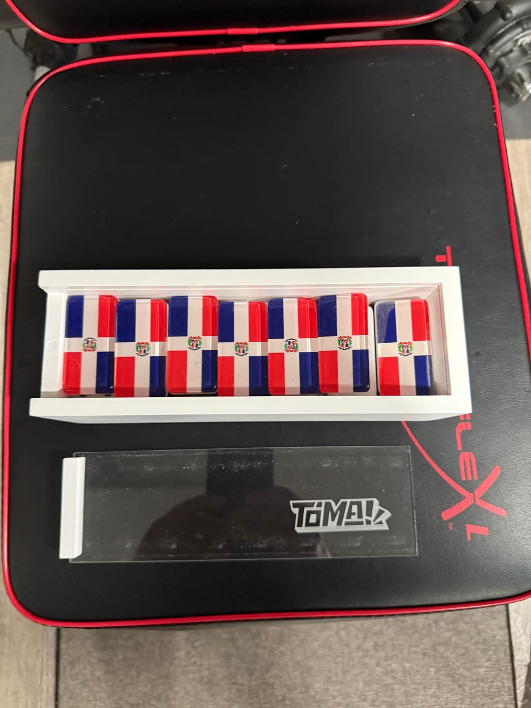 Customer photo review of Dominican Republic Flag Dominos