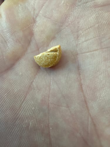 Customer photo review of 7-OH HEAVENLY TABLETS (18 MG)