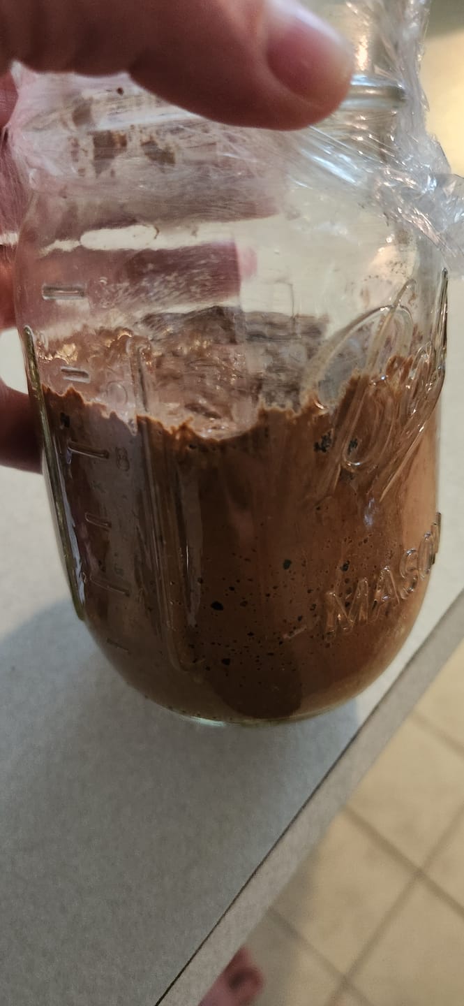 Customer photo review of Sourdough Starter Survival Guide | A Clear, Beginner-Friendly System for Feeding & Maintaining a Healthy Starter