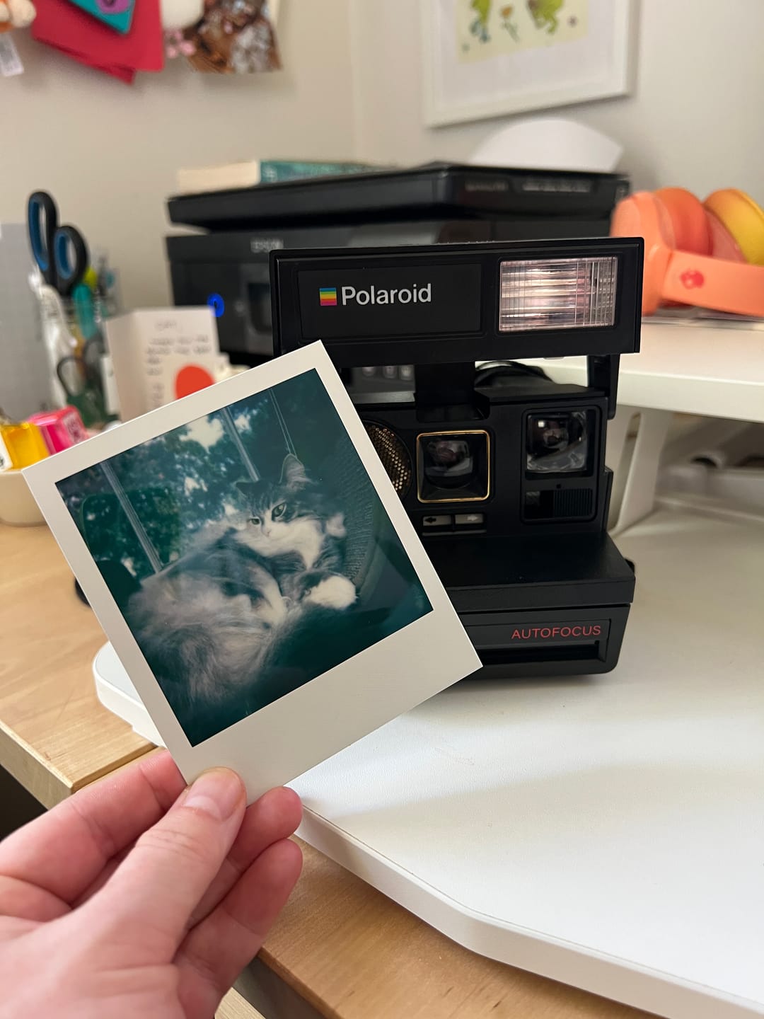 Customer photo review of Polaroid 600 Sun660 Autofocus Instant Film Camera