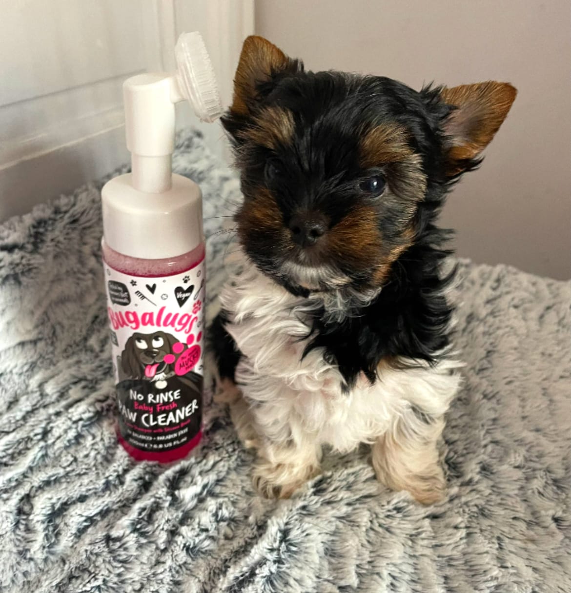 Customer photo review of Baby Fresh No Rinse Paw Cleaner for Dogs & Cats