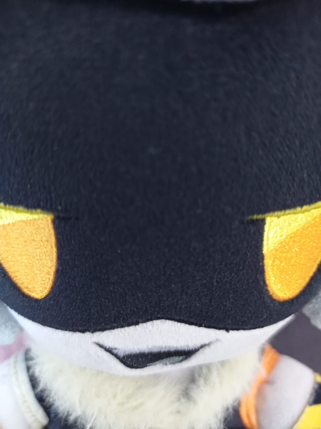 Customer photo review of V Plush