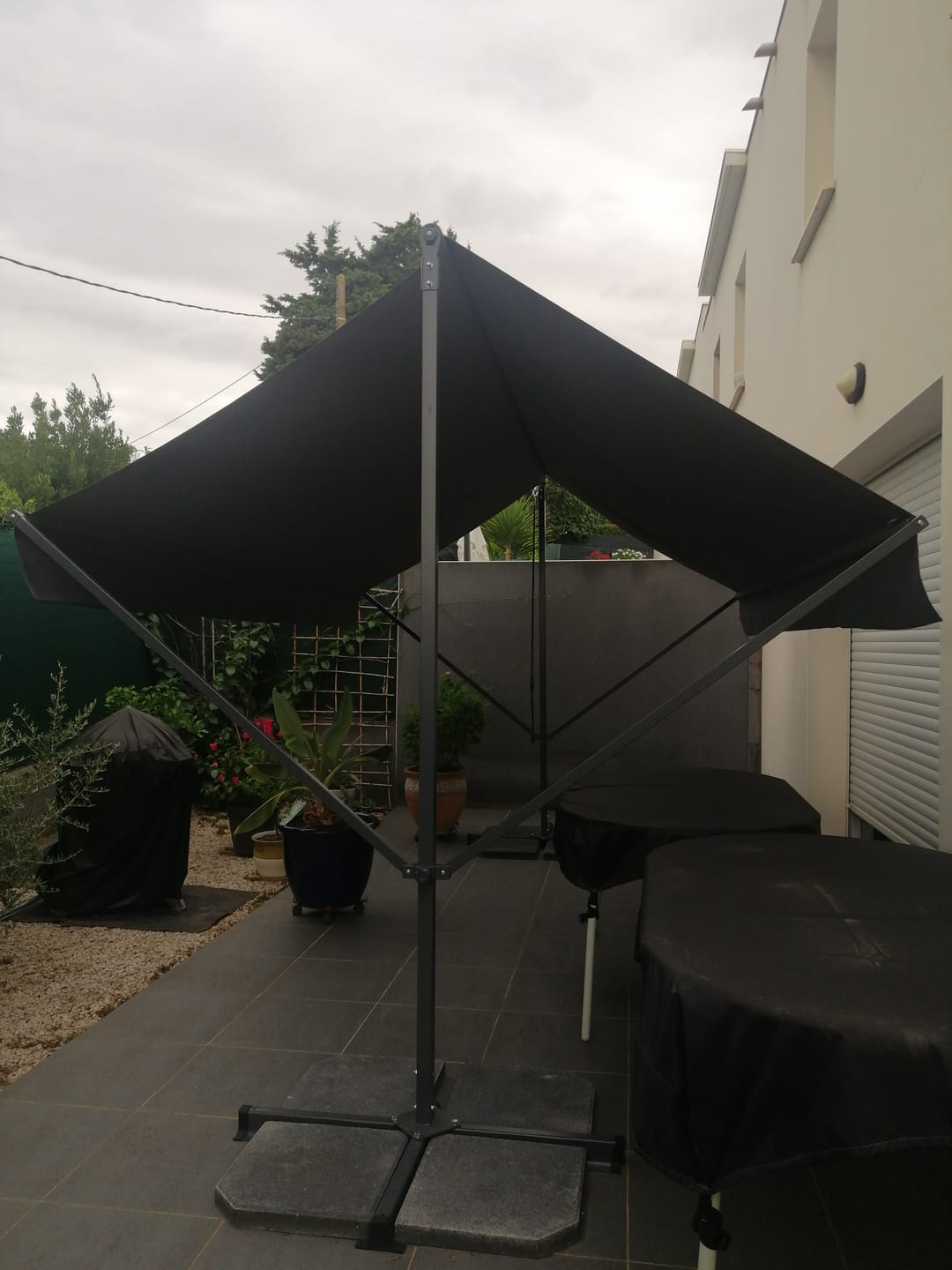 Customer photo review of ISEO 3x4