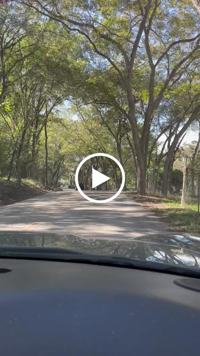 Customer video review of ENTRY PACK LEVEL 3 - 7500 ENTRIES