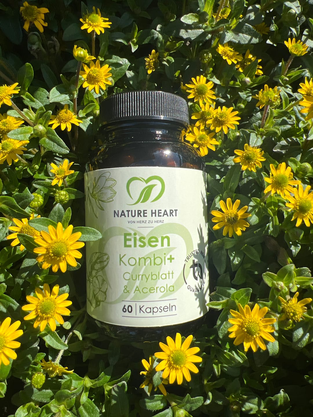 Customer photo review of Eisen Kombi+