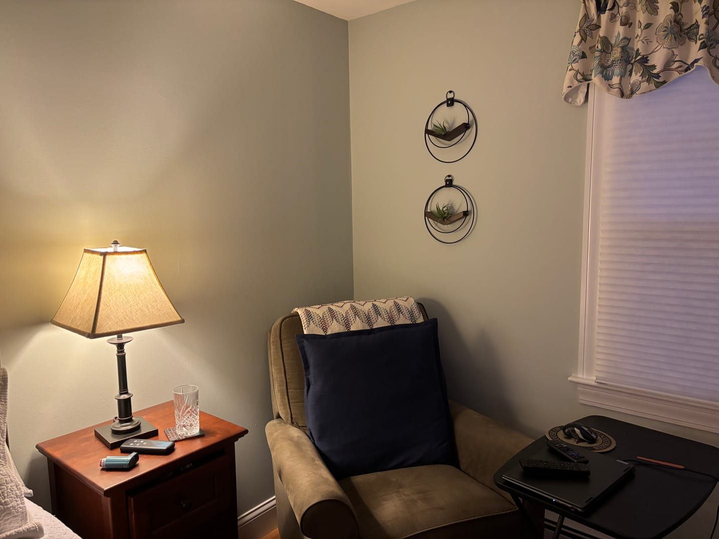 Customer photo review of Air Plant V-Hanger