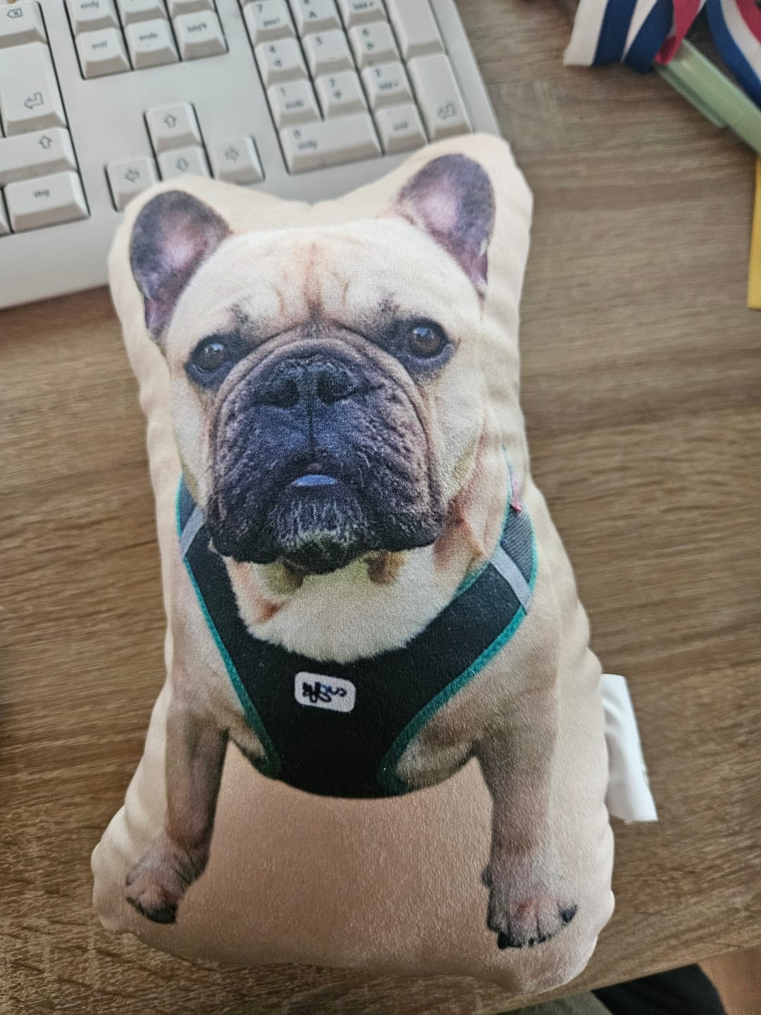 Customer photo review of Personalisiertes Hundekissen