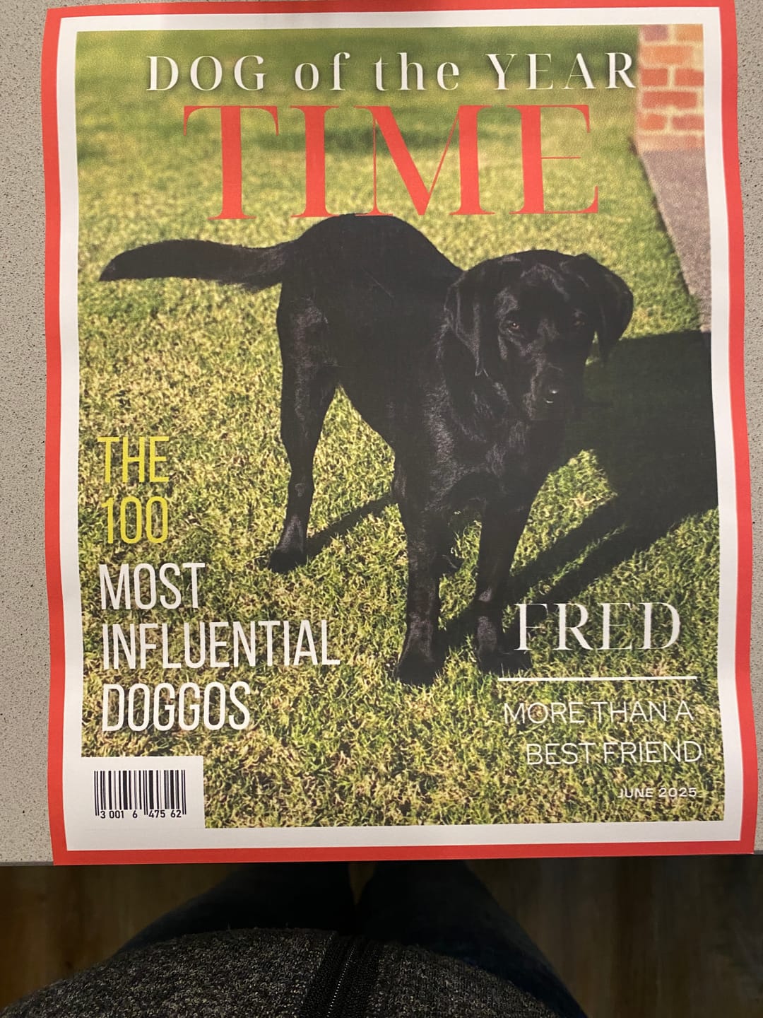 Customer photo review of Pet Portrait Magazine Cover