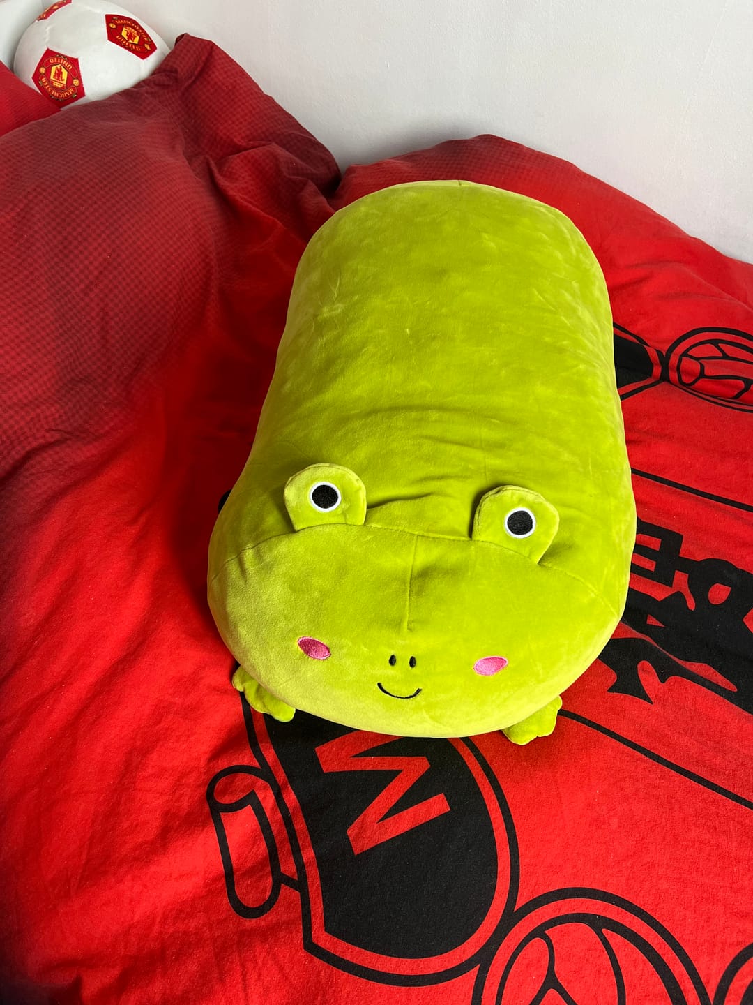 Customer photo review of Animal Pillow Plushie