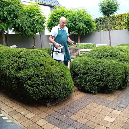 Customer photo review of 18V Cordless Pressure Sprayer 7.5 L