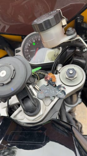 Customer photo review of Kissing Doll Motorcycle Couple - Personalized Keychain