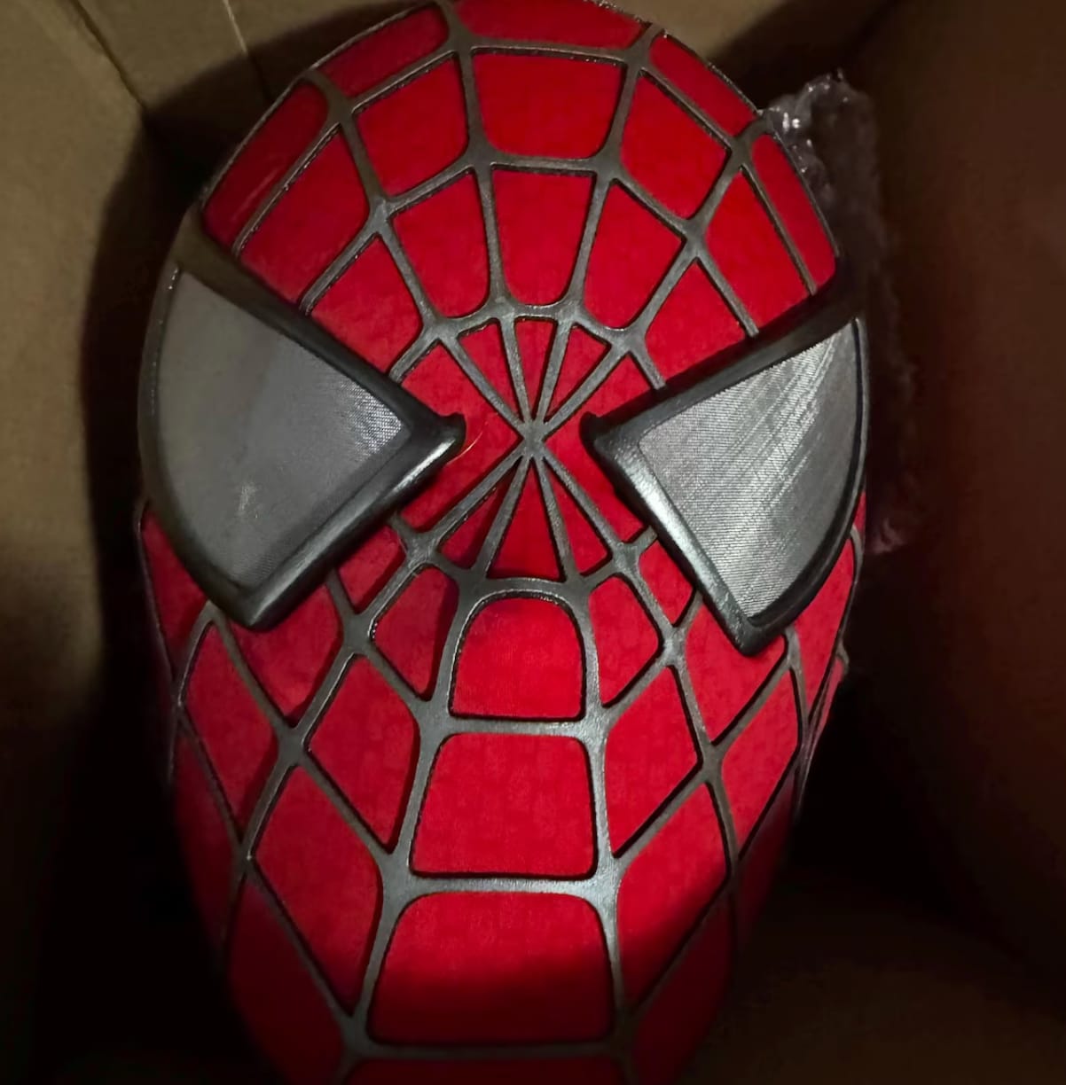 Customer photo review of Tobey Maguire Spider-Man Life Size Wearable Mask