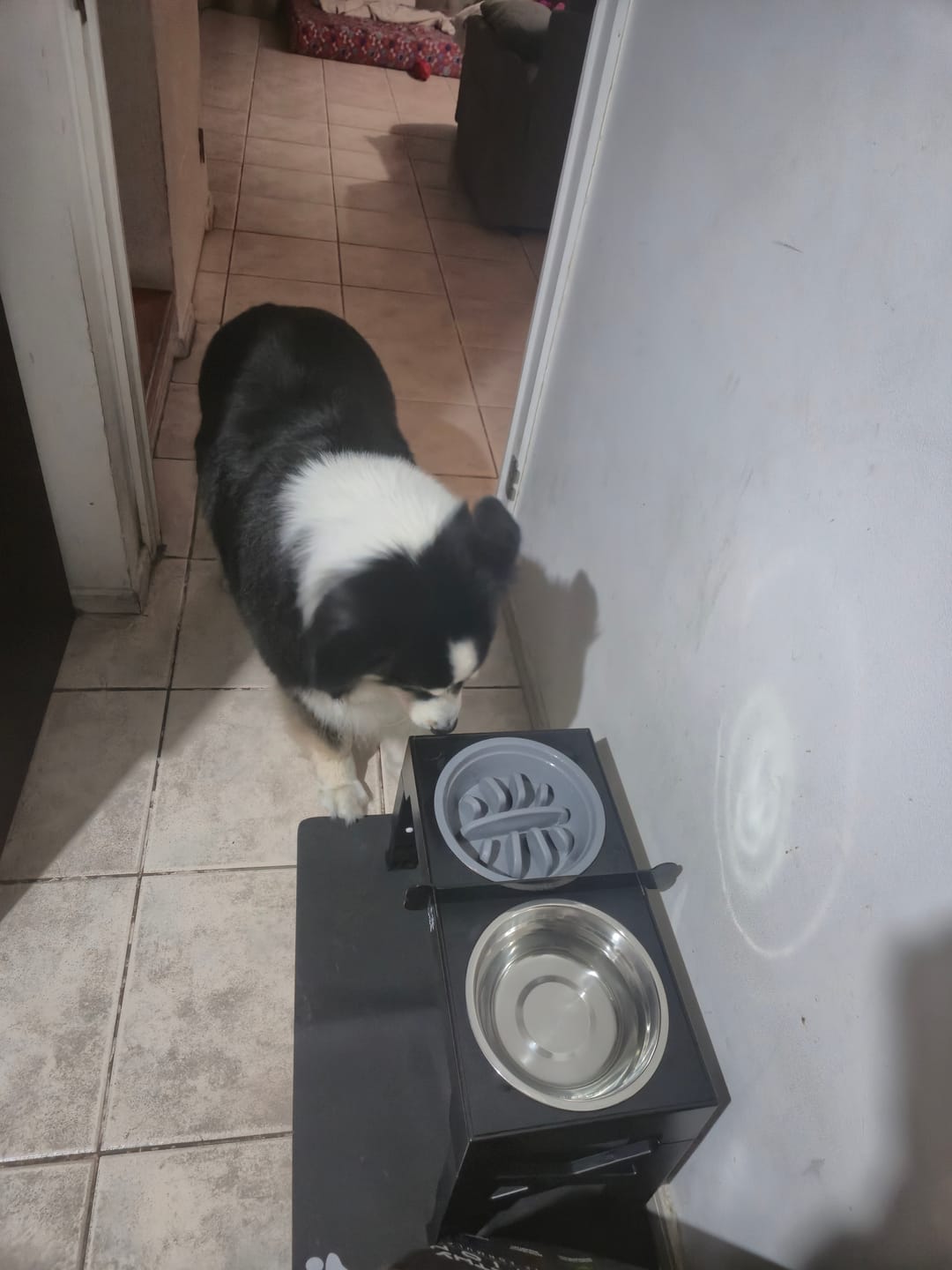 Customer photo review of Mat Absorbente para alimentación
