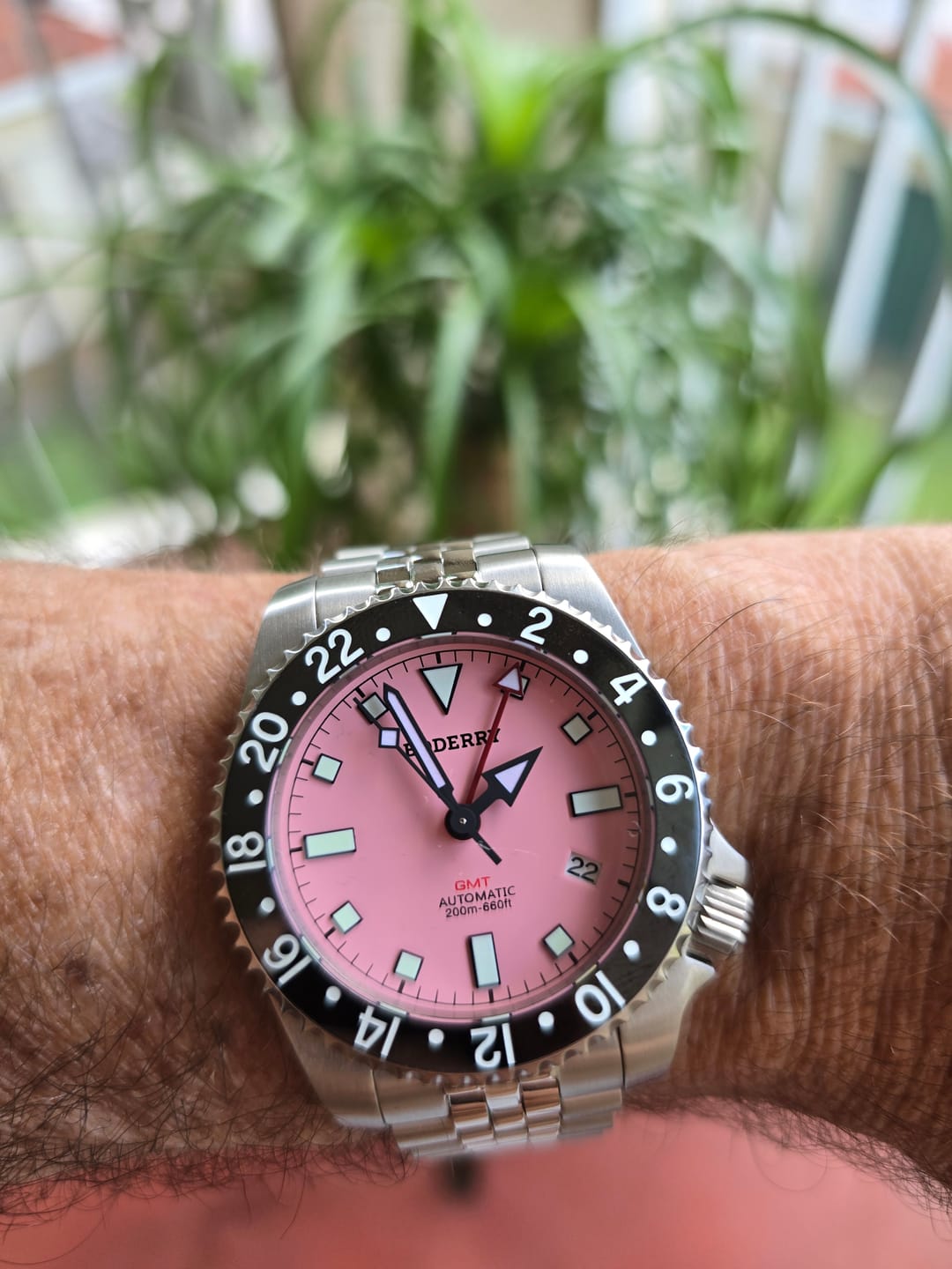 Customer photo review of ADMIRAL GMT - 200M Waterproof Titanium Automatic Diver Watch | Pink-(Ceramic Bezel)