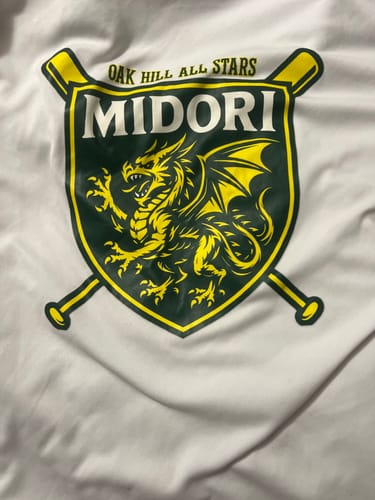 Customer photo review of Build Your Own DTF Gang Sheet