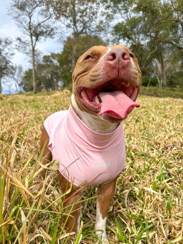 Customer photo review of Sunblock Dog T-Shirt - Mint