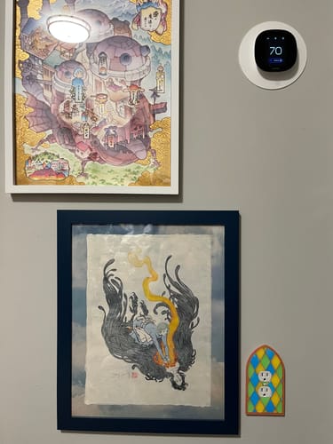 Customer photo review of Mixed Acrylic Harlequinn Hall Double Outlet Sample