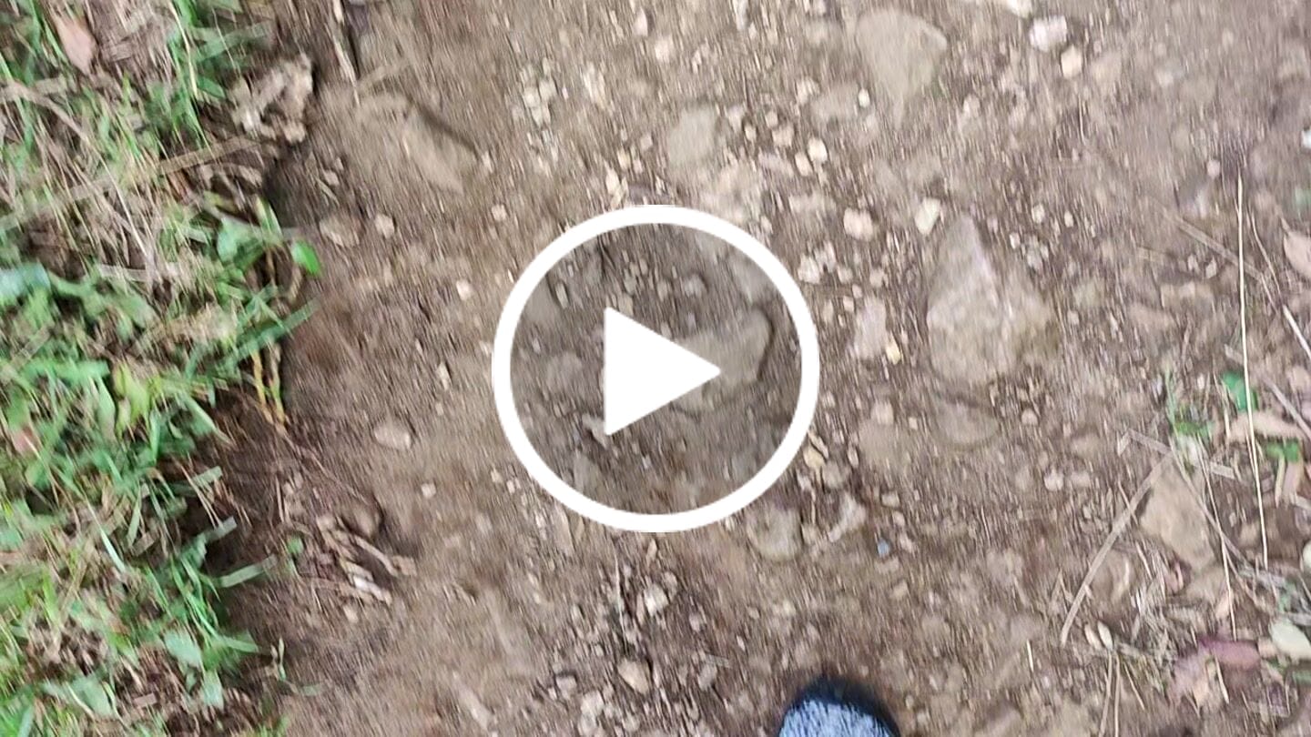 Customer video review of Fast Ⅰ - Zapatos Barefoot