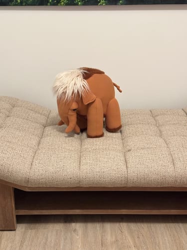 Customer photo review of The Mammoth