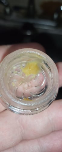 Customer photo review of Royal Limez