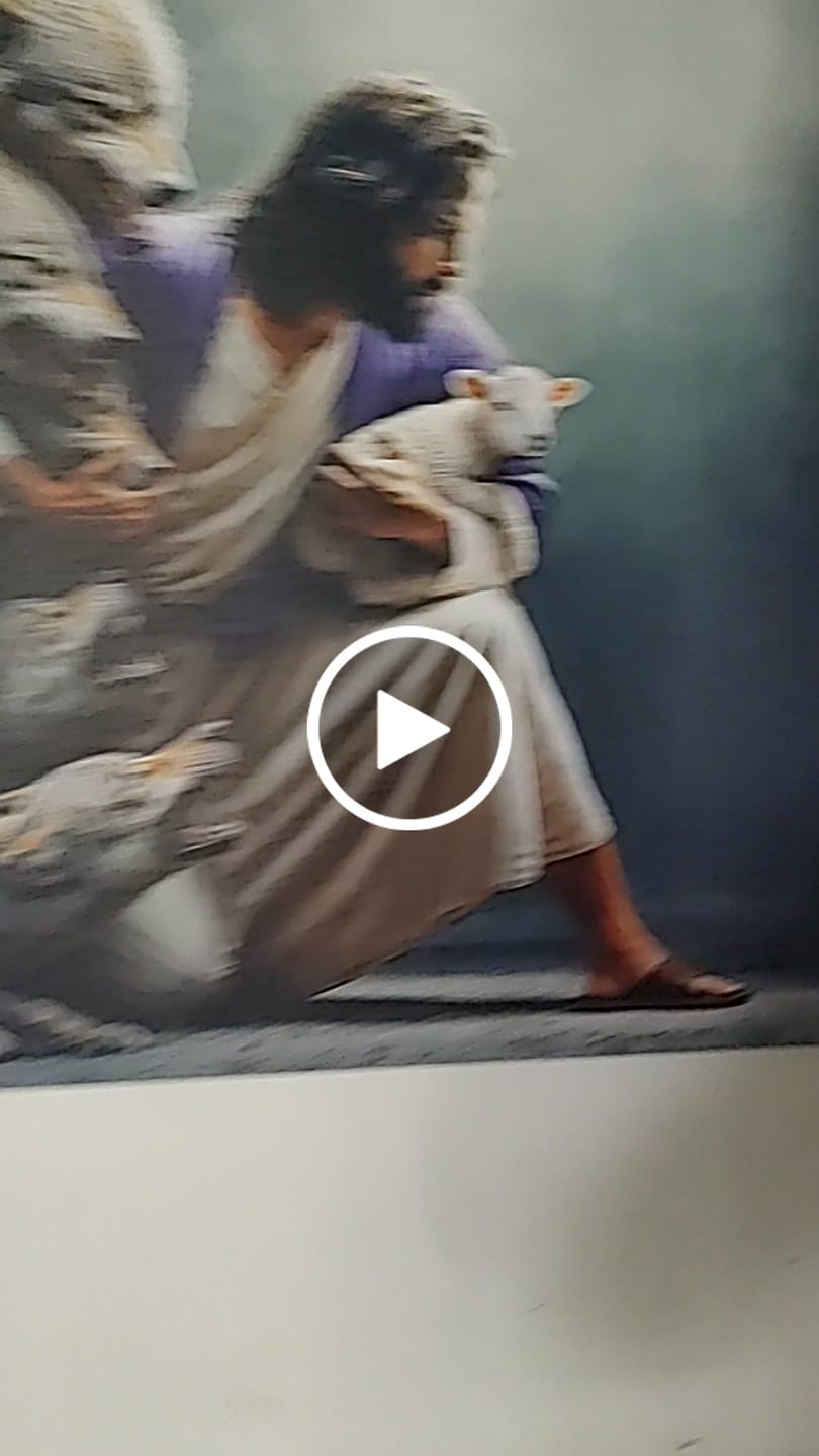 Customer video review of Lamb Runs to Jesus Wall Art Canvas