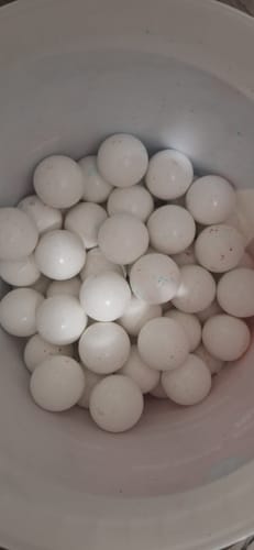 Customer photo review of Just Giant Gobstoppers