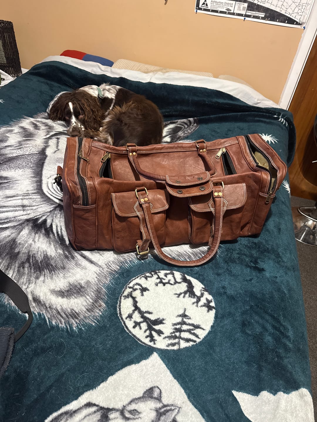 Customer photo review of Vintage Dark Brown Traveller Duffle Bag