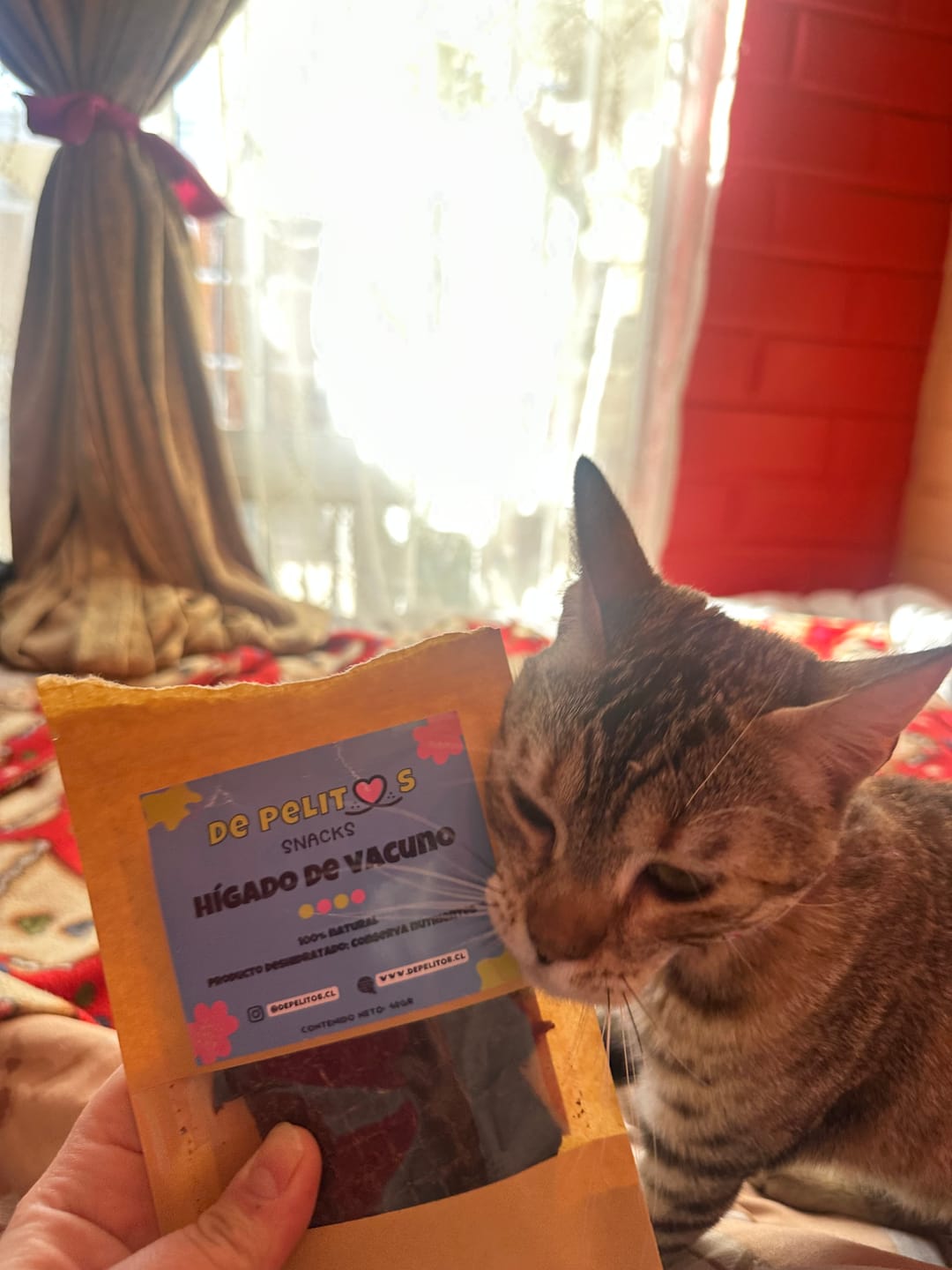 Customer photo review of Hígado de vacuno