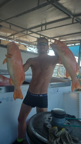 Customer photo review of FREE $55 LURE PACK