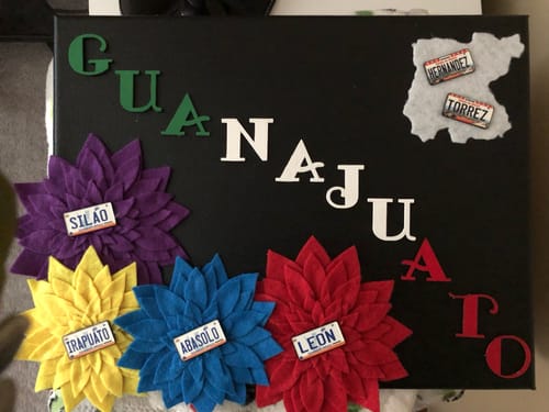 Customer photo review of Guanajuato License Plate Enamel Pin