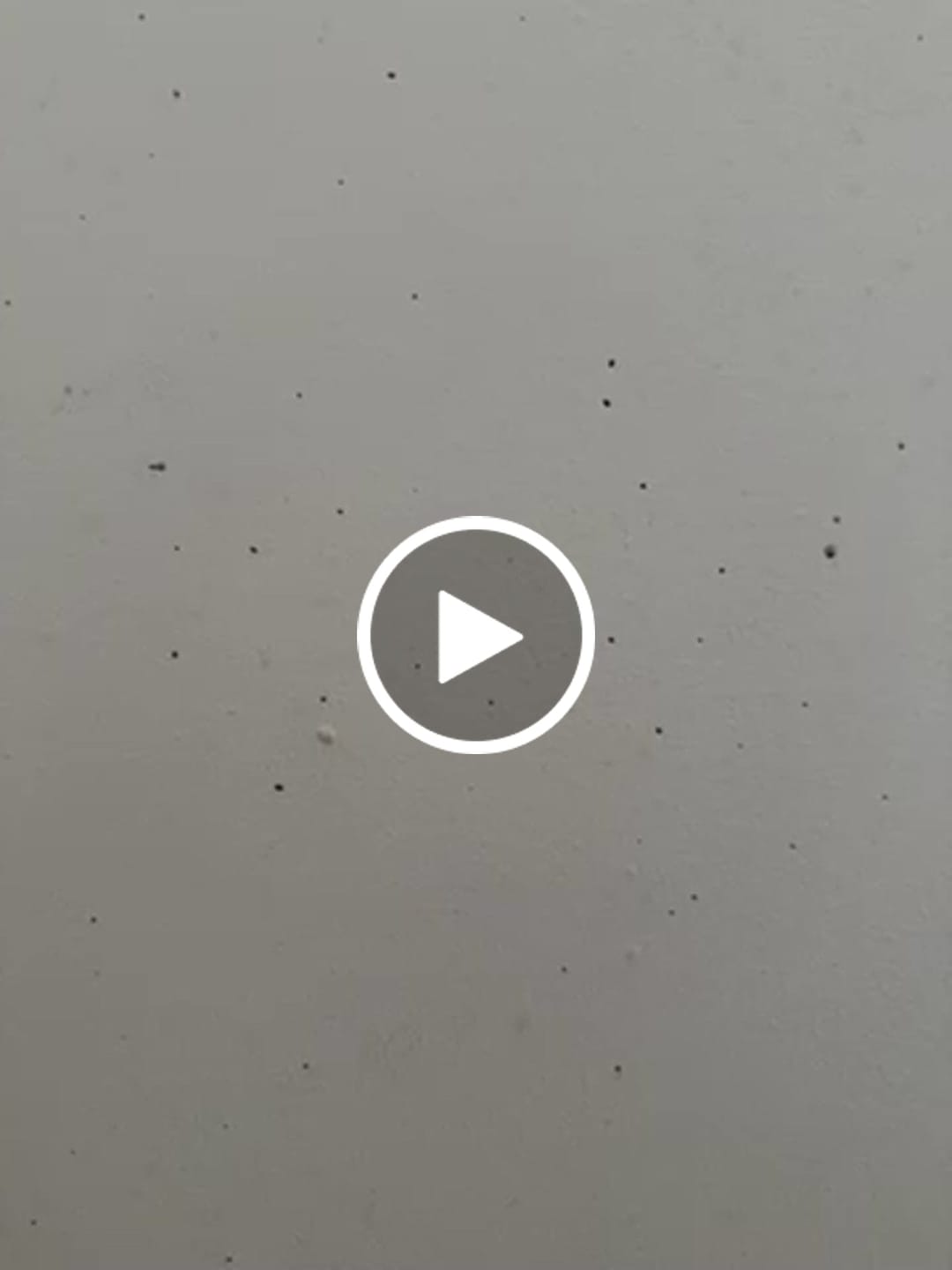 Customer video review of Secret form