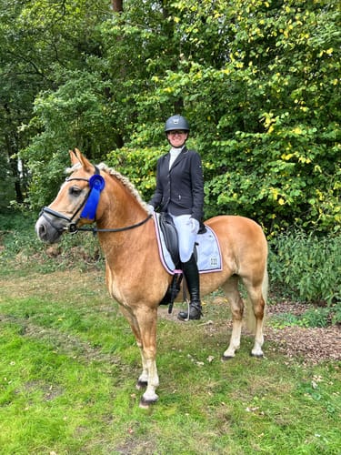 Customer photo review of Strotonin Horse Support
