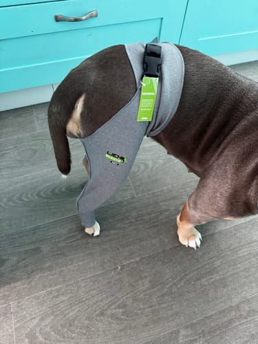 Customer photo review of Lick Sleeve