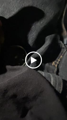 Customer video review of Cheap THCA Flower Ounce