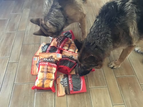 Customer photo review of Beef Jerky Treats for Dogs