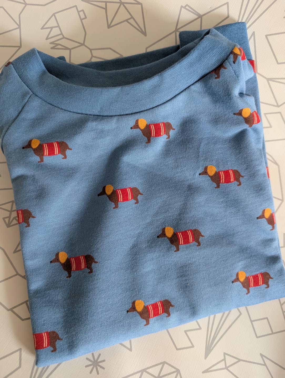 Customer photo review of Sausage Dogs Raglan Sweatshirt