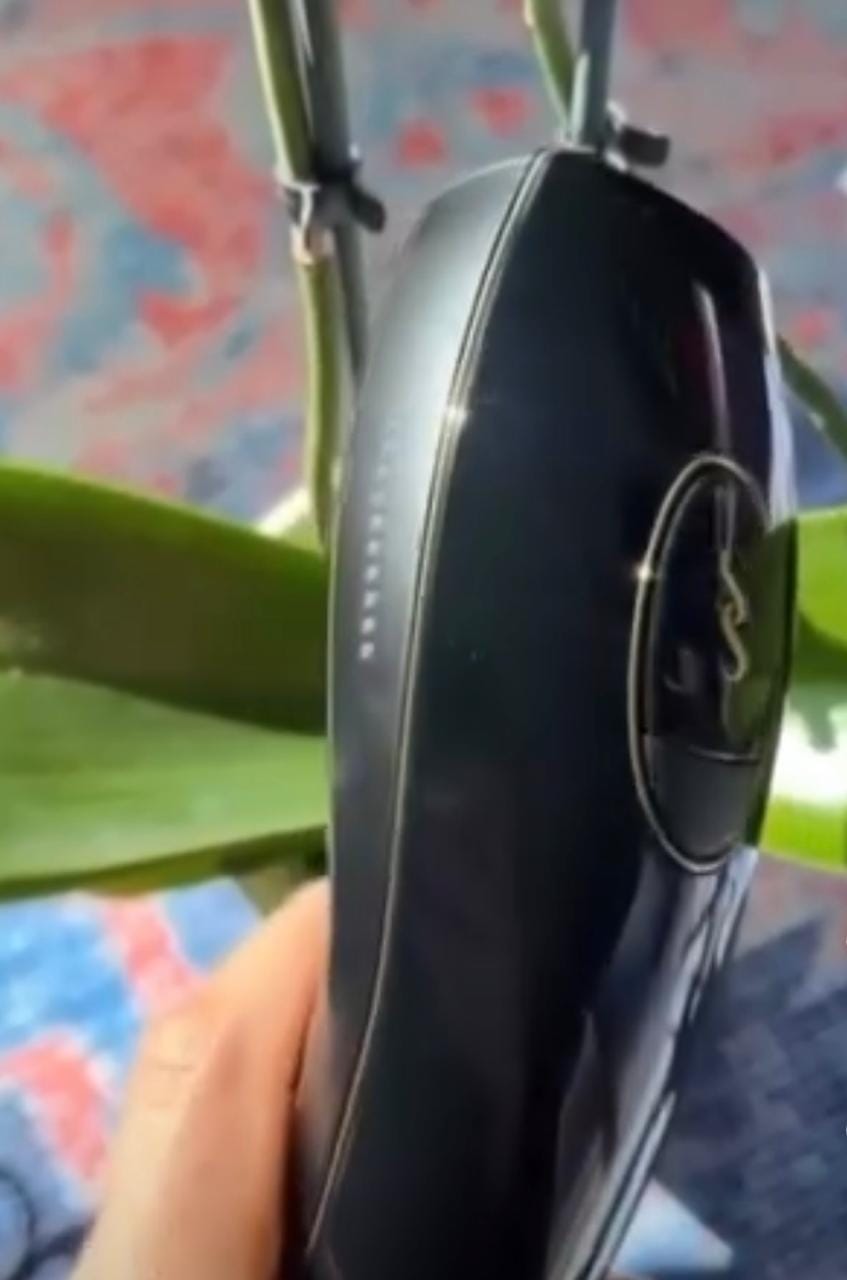 Customer photo review of Smoothskin IPL Pure Fit V2