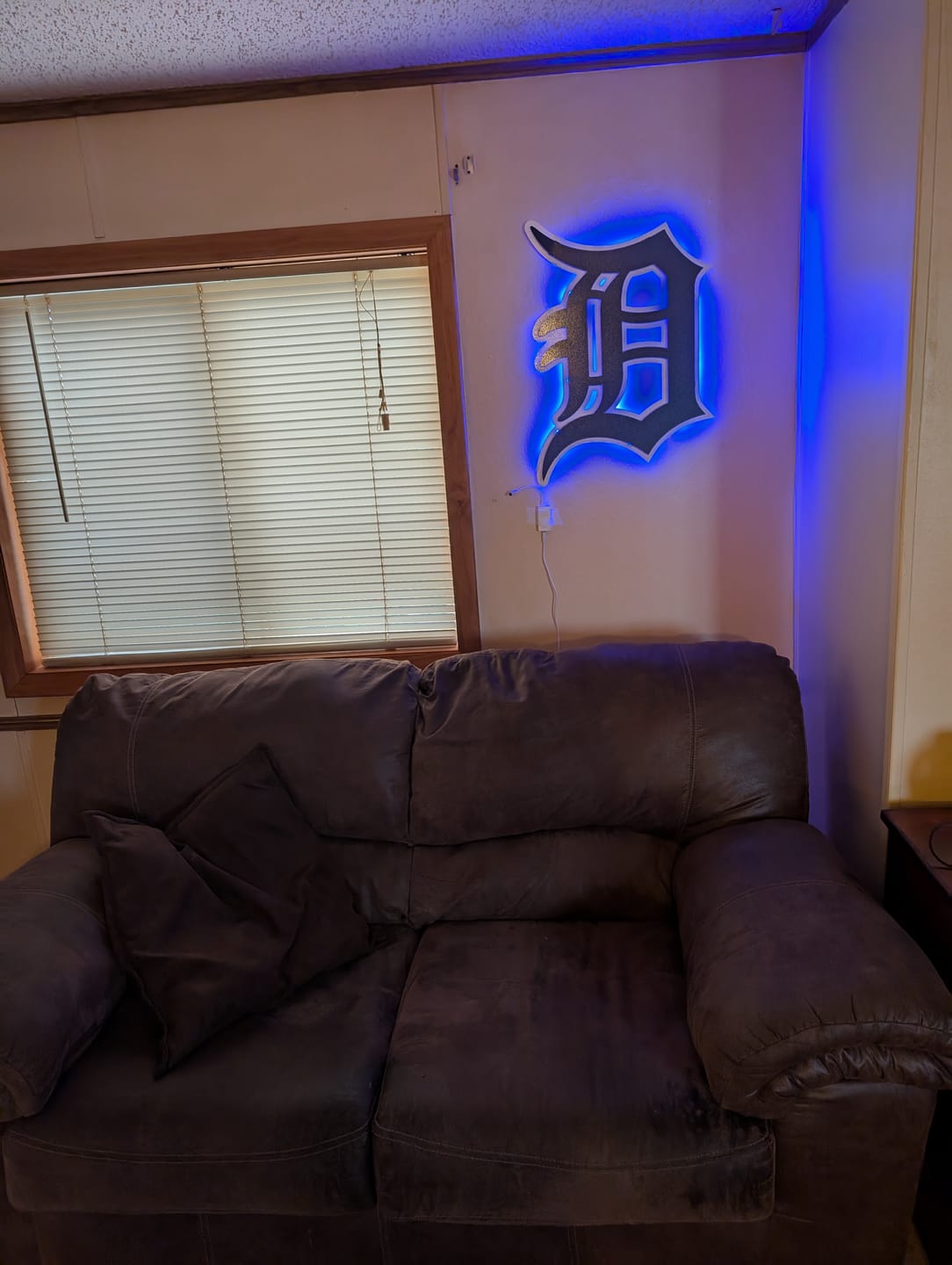 Customer photo review of Detroit Tigers "D" - Navy/White 3D Vintage Metal Wall Art