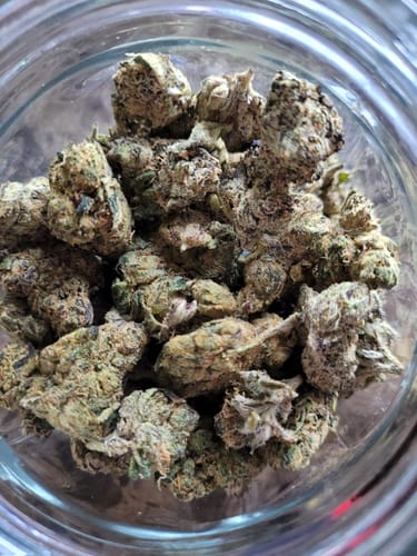 Customer photo review of Purple Gelato - Hybrid