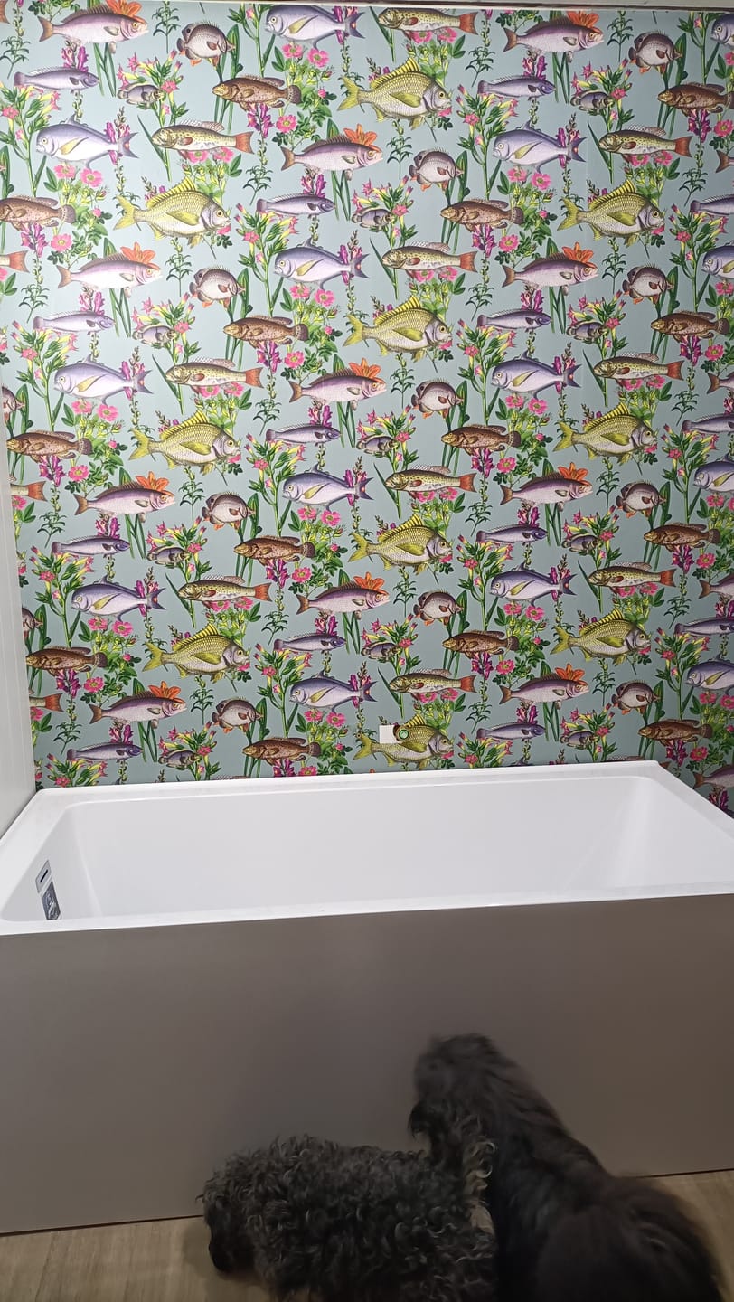 Customer photo review of Lagoon Fish Wallpaper - Teal